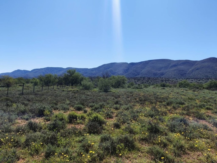 5 Bedroom Property for Sale in Steytlerville Eastern Cape